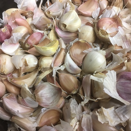 Spring Planting Garlic Bulbs Economy Pack